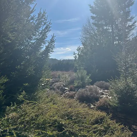 Adamuv Dvur * Zdíkov